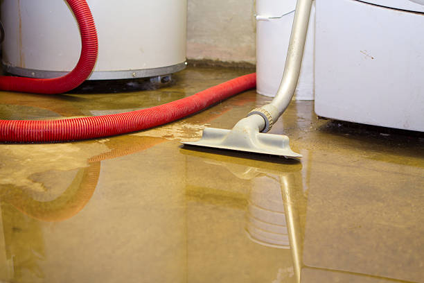 Best Ceiling water damage repair  in Lisbon, ND